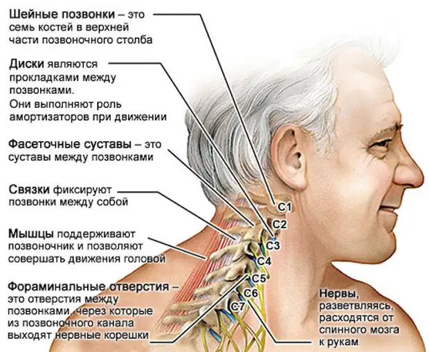 Частые причины боли в шее