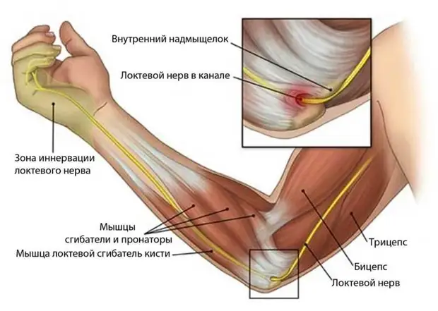 Что важно знать всем, кто работает за компьютером