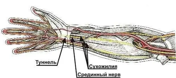 Что важно знать всем, кто работает за компьютером
