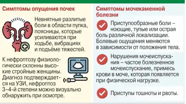 Почему в почках образуются камни и как от них избавиться