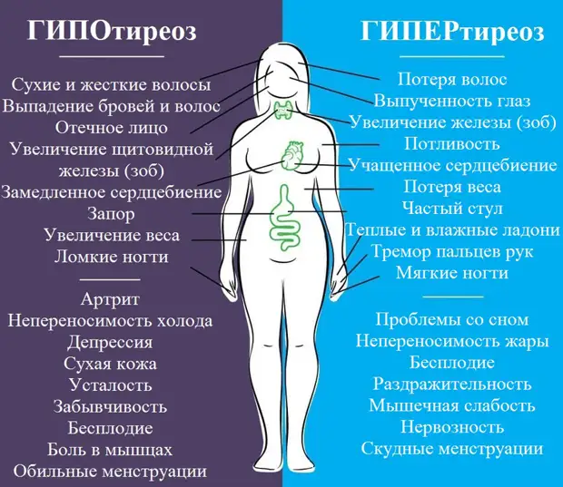 Влияние гормонов на здоровье женщины