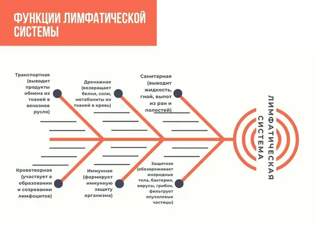 Как избавиться от утренних отеков