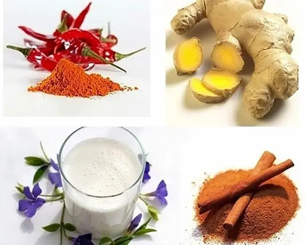ingredienti