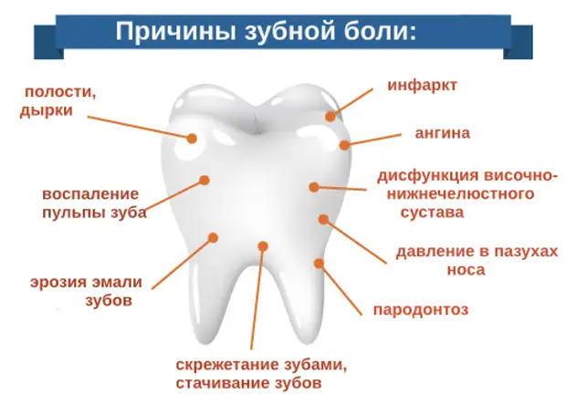 Действительно ли народные средства помогают от зубной боли