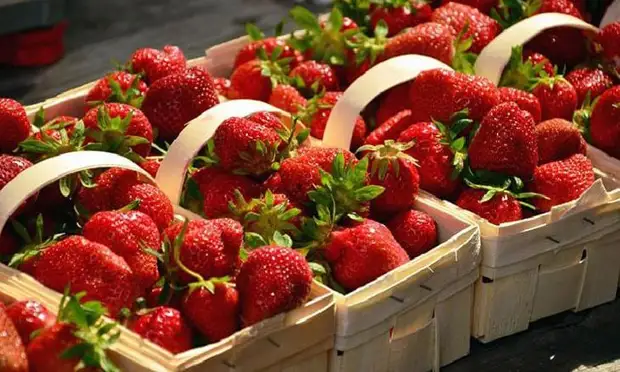20 Суперпродуктов для тех, кому за 50