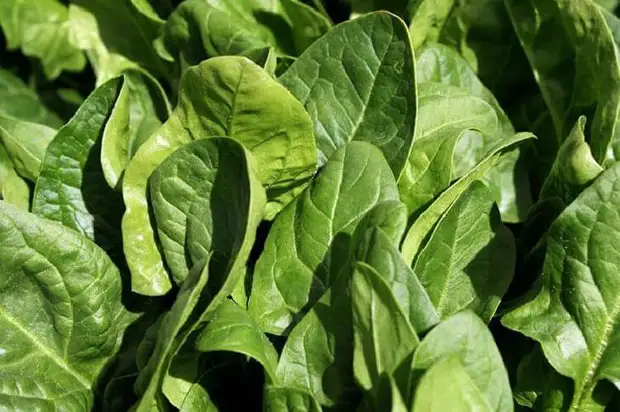 20 Суперпродуктов для тех, кому за 50