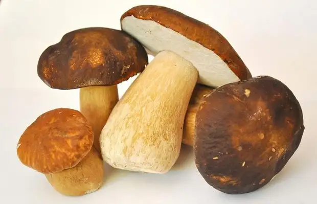 10 продуктов, которые богаты клетчаткой