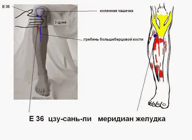 Точки, которые помогут при проблемах кожи и обмена веществ