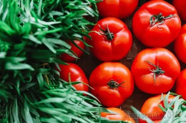 Топ-10 продуктов, которые помогут избавиться от судорог мышц