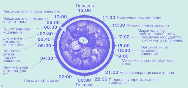 Причины, которые заставят задуматься и изменить свой режим