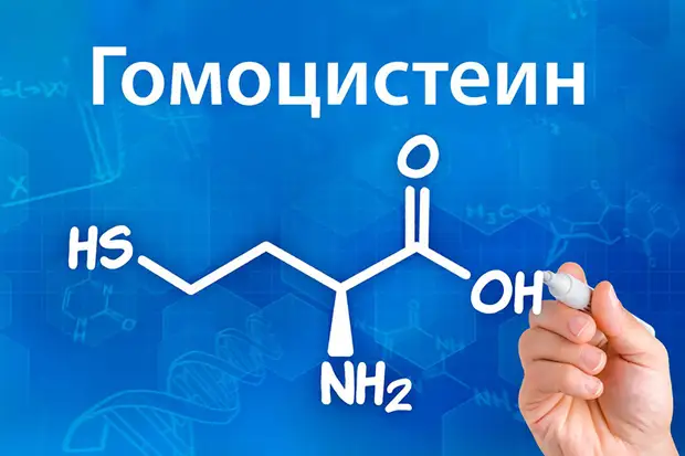 Почему важно контролировать уровень гомоцистеина