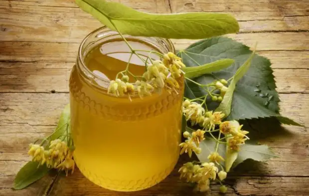 Чем полезны разные виды меда, и как их различить