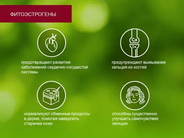 Фитоэстрогены для женщин: зачем они нужны