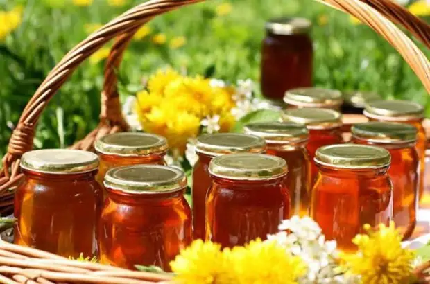 Чем полезны разные виды меда, и как их различить