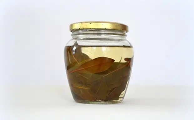 Отвар их лаврового листа