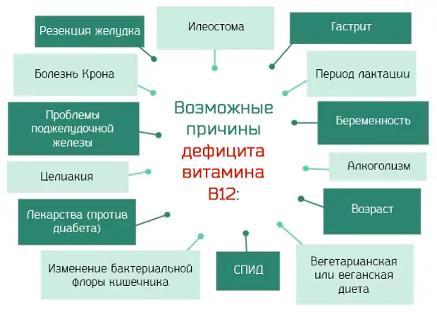 Последствия дефицита витамина В12