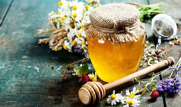 Чем полезны разные виды меда, и как их различить