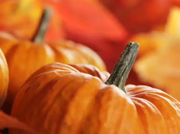 Продукты для повышения иммунитета