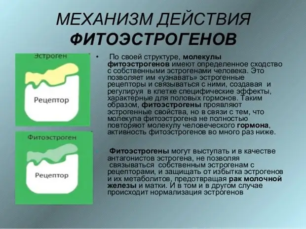 Фитоэстрогены для женщин: зачем они нужны