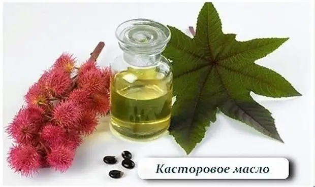 Чудесные свойства касторового масла
