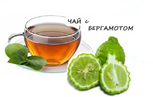 Чай с бергамотом. Польза и вред
