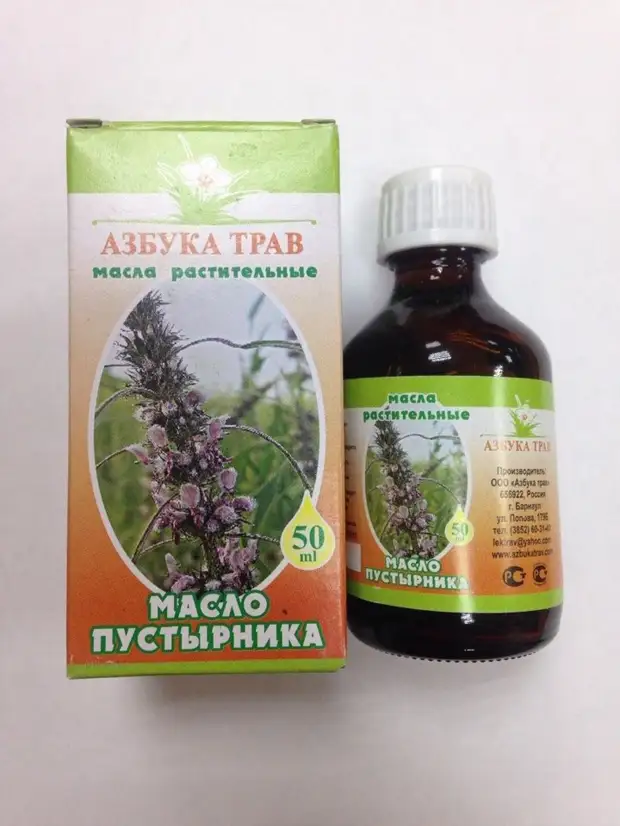 Пустырник — лекарственные свойства
