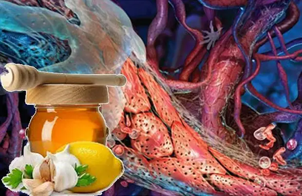 6 правил питания для здоровых сосудов и обзор продуктов для их укрепления и очищения