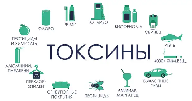 Фото из открытых источников "Яндекс картинки"