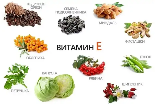 6 правил питания для здоровых сосудов и обзор продуктов для их укрепления и очищения