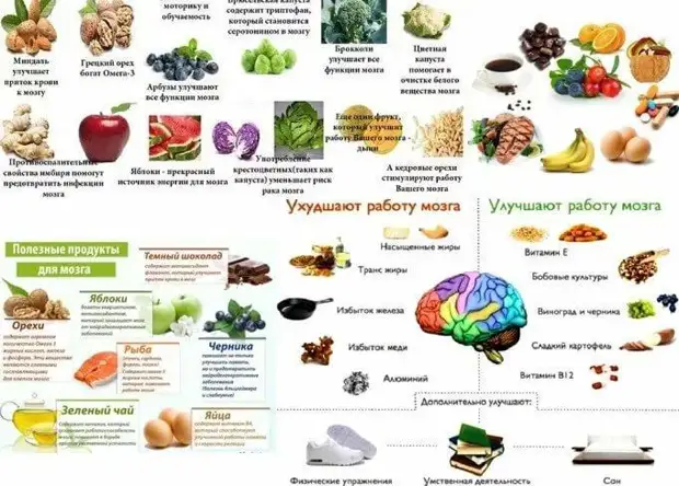 6 правил питания для здоровых сосудов и обзор продуктов для их укрепления и очищения