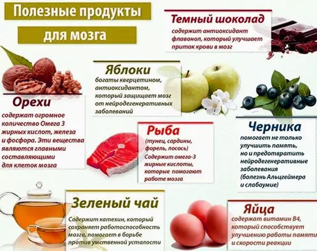 6 правил питания для здоровых сосудов и обзор продуктов для их укрепления и очищения