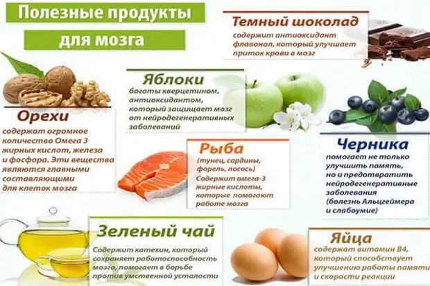 6 правил питания для здоровых сосудов и обзор продуктов для их укрепления и очищения