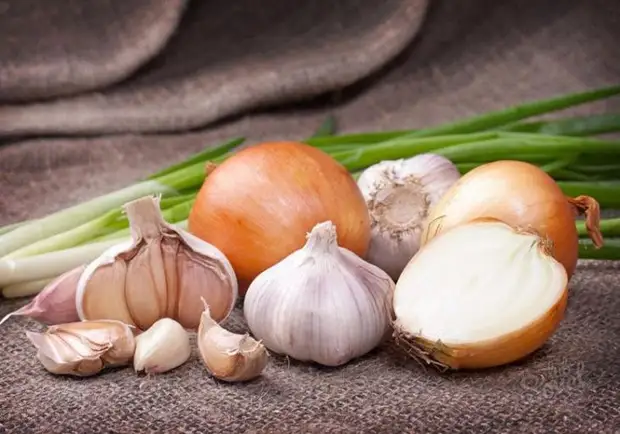 10 продуктов, которые помогут победить целлюлит продукты против целлюлита, продукты от целлюлита