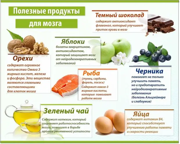 6 правил питания для здоровых сосудов и обзор продуктов для их укрепления и очищения