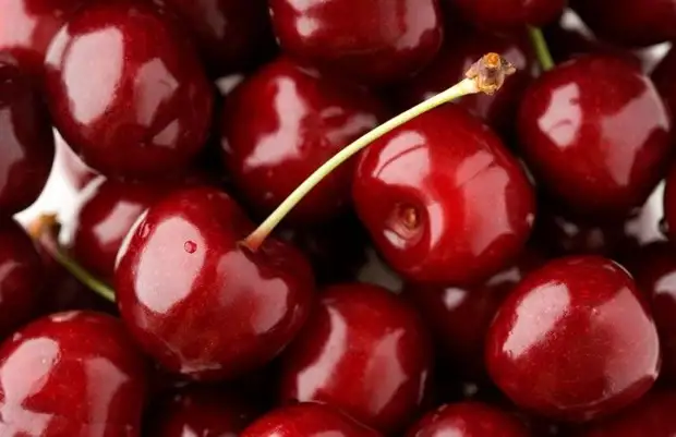 10 продуктов, которые помогут победить целлюлит продукты против целлюлита, продукты от целлюлита