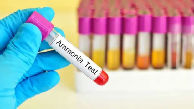 Симптомы избытка аммиака в организме