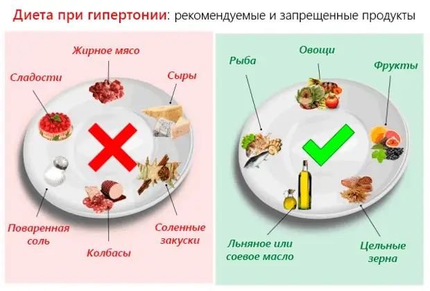 6 правил питания для здоровых сосудов и обзор продуктов для их укрепления и очищения