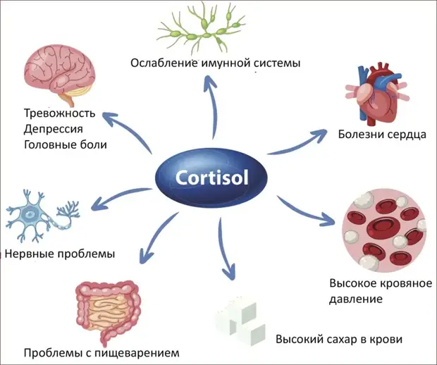 Почему вы плохо спите и не худеете