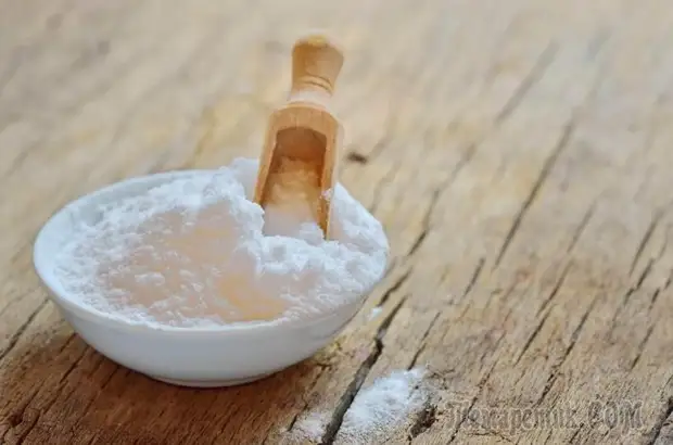 Основные принципы оздоровления организма по Неумывакину
