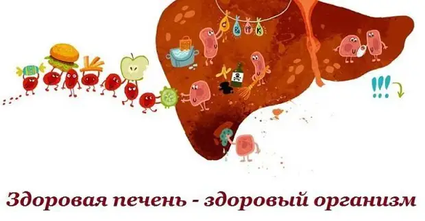 Что такое лептинорезистентность и жировая болезнь печени