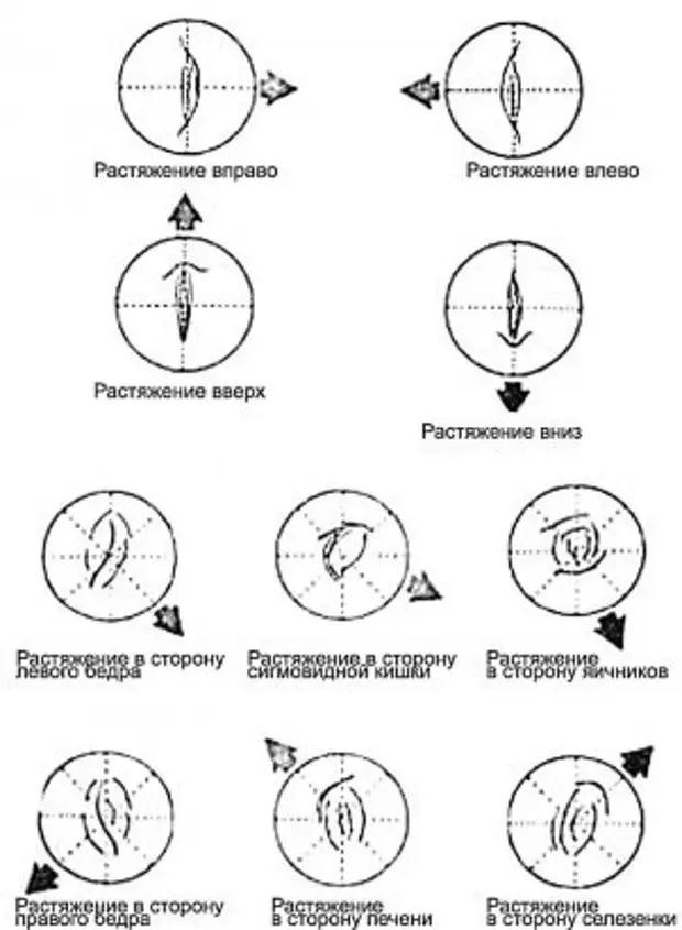 О чём говорит форма вашего пупка