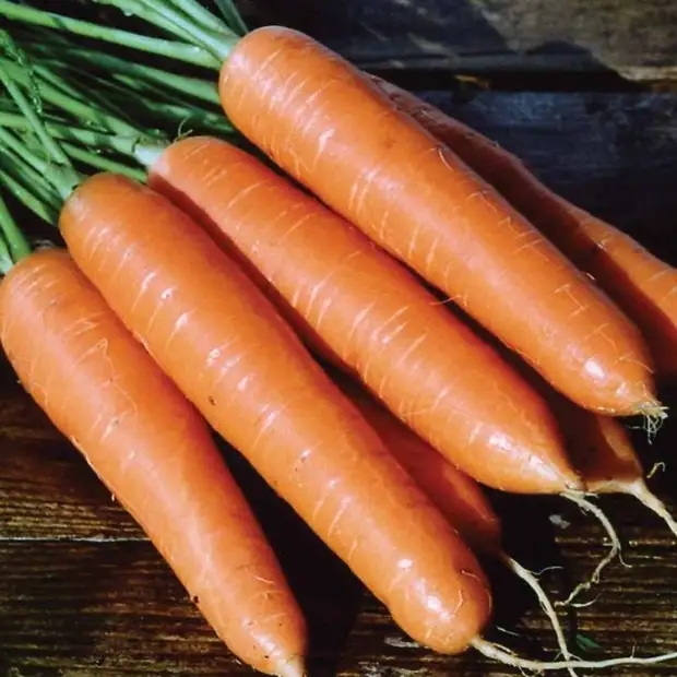 Супер продукты, убивающие рак