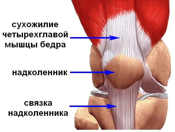 Упражнения-позы от хронических болей в коленях Упражнения-позы от хронических болей в коленях