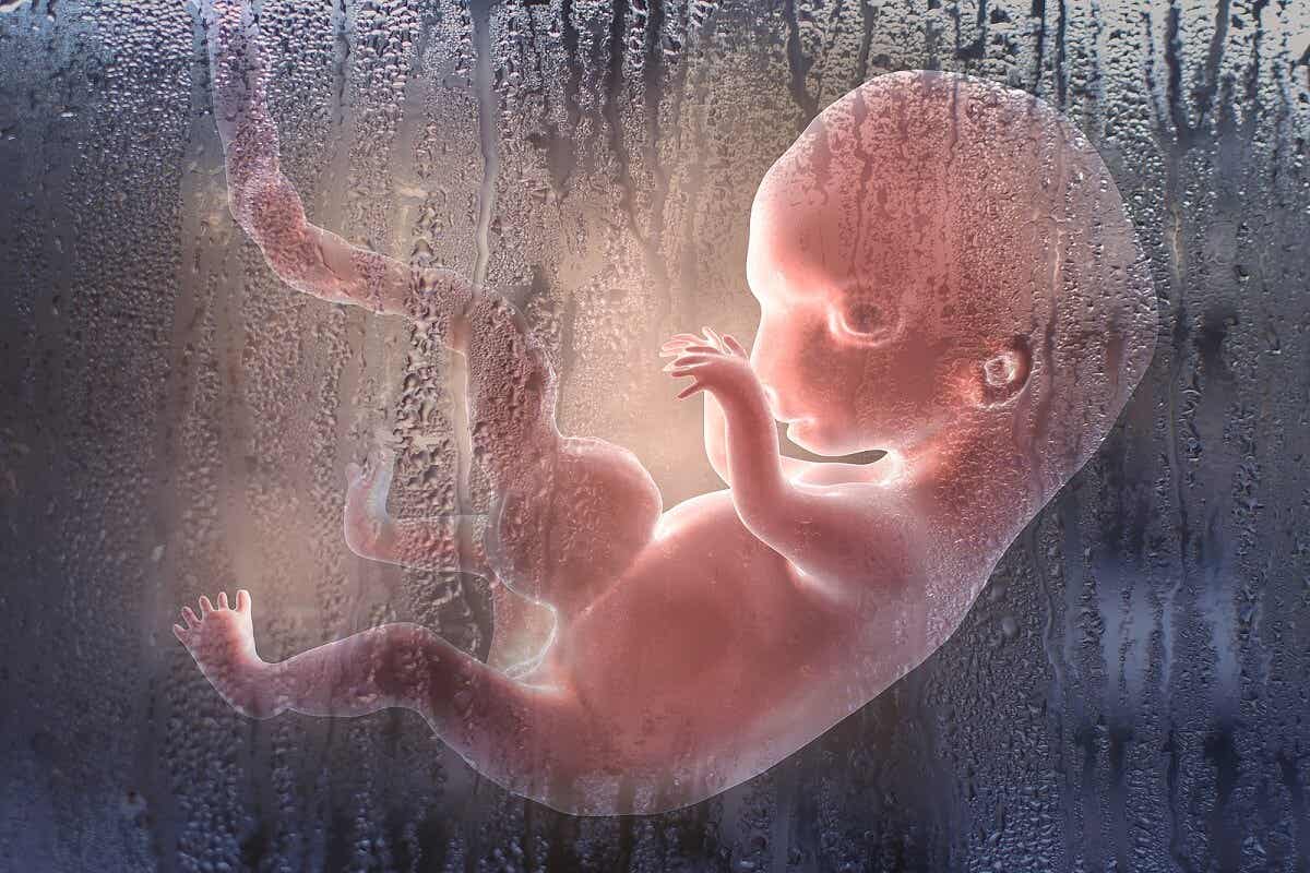 Плоду нужен цинк.