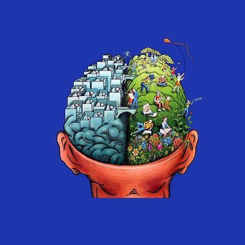 Подростковый возраст: Тайны мозга вашего ребенка Подростковый возраст: Тайны мозга вашего ребенка