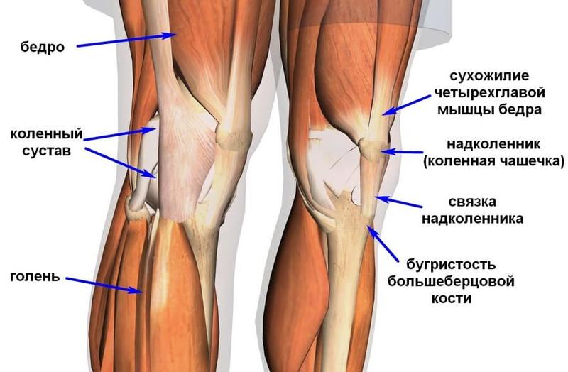 Упражнение «Поза героя» для оздоровления коленей 